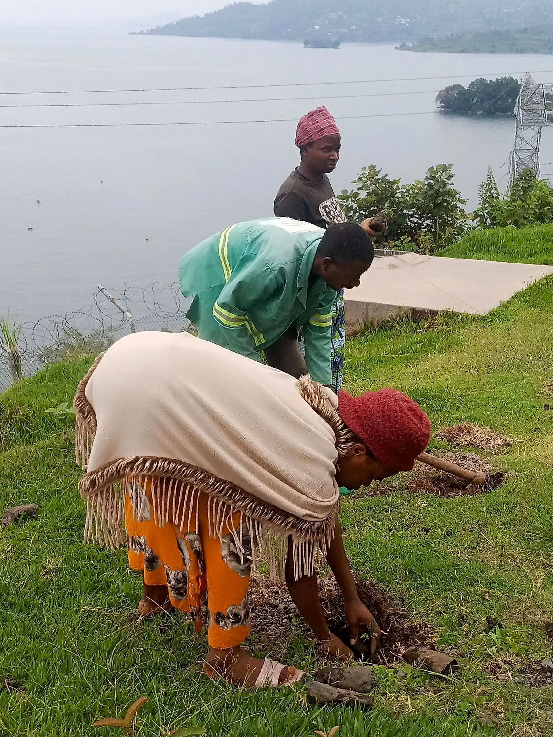 Community members planting on a hillside above the lake